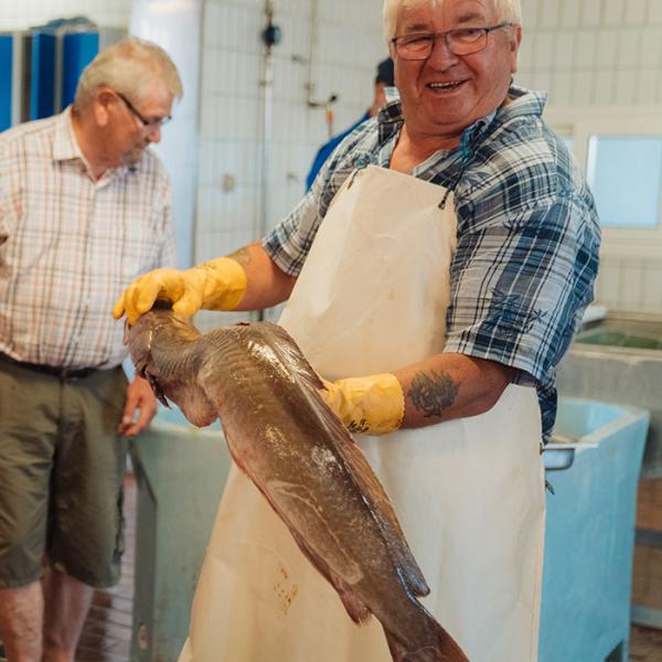 Lokale fødevareoplevelser