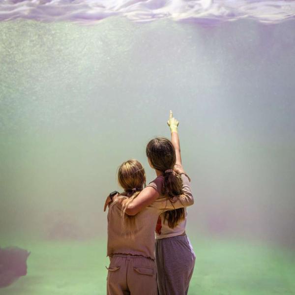 St. George Strandingsmuseum børn