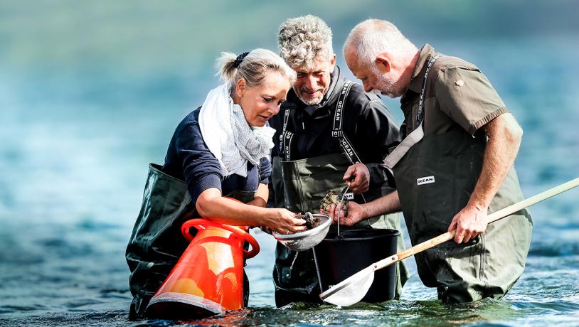 Østerssafari Jyllandsakvariet