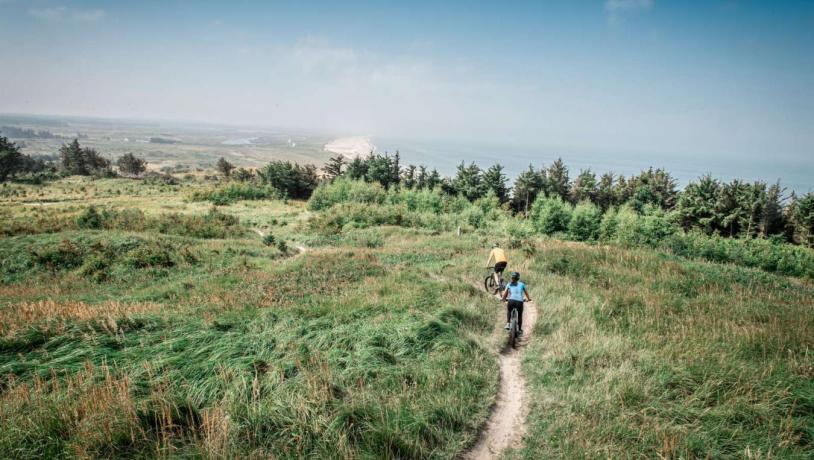 par på mountainbike