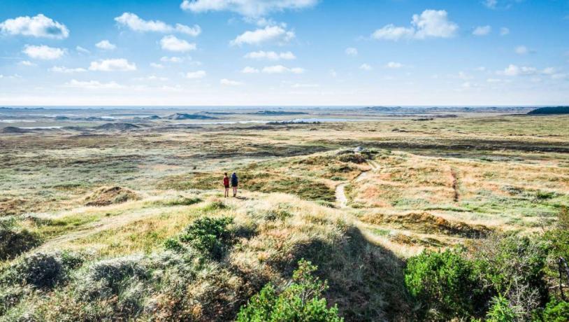 Isbjerg i Nationalpark Thy