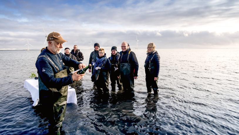 Østerssafari med Jyllandsakvariet