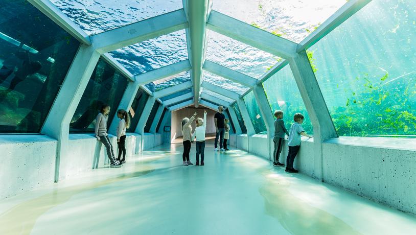 Nordsøen Oceanarium