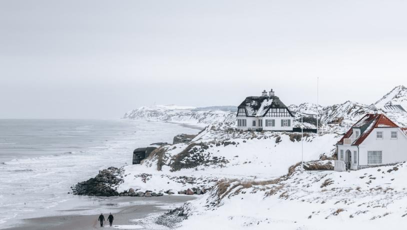 Blånæs i vinterlandskab