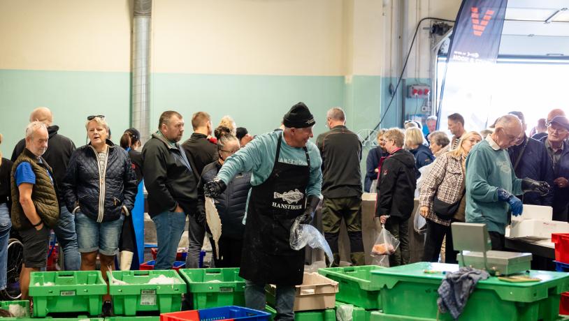 Fisken på disken i Hanstholm