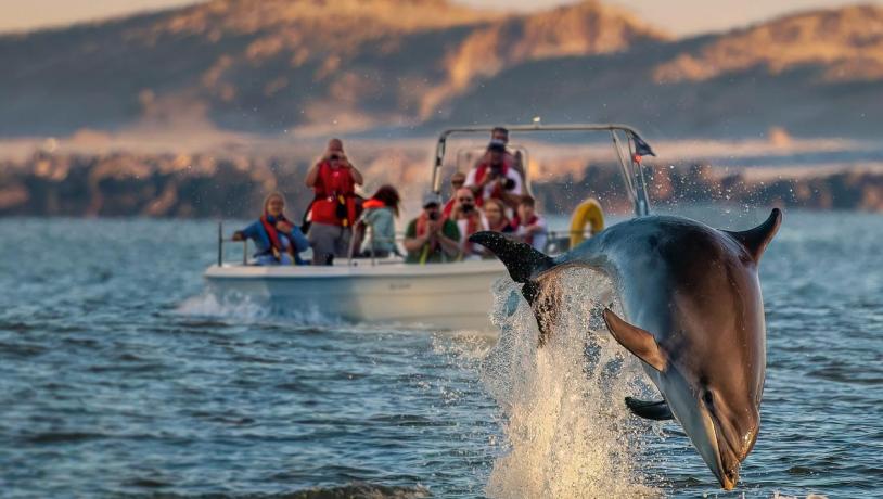 Skipper JyllandsAkvariet