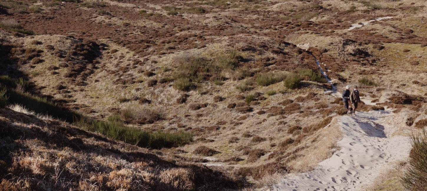 Naturvandring i Rødhus Klitplantage