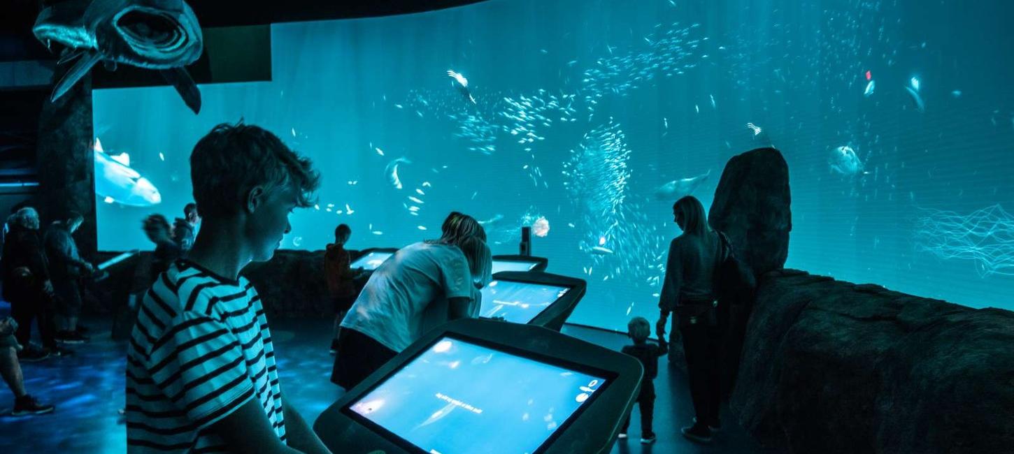 Nordsøen Oceanarium