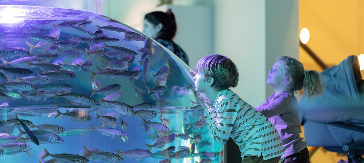 Nordsøen Oceanarium