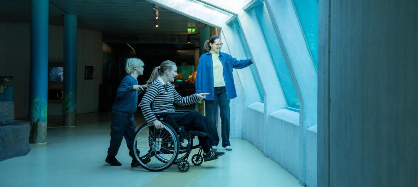 Nordsøen Handicapvenlighed