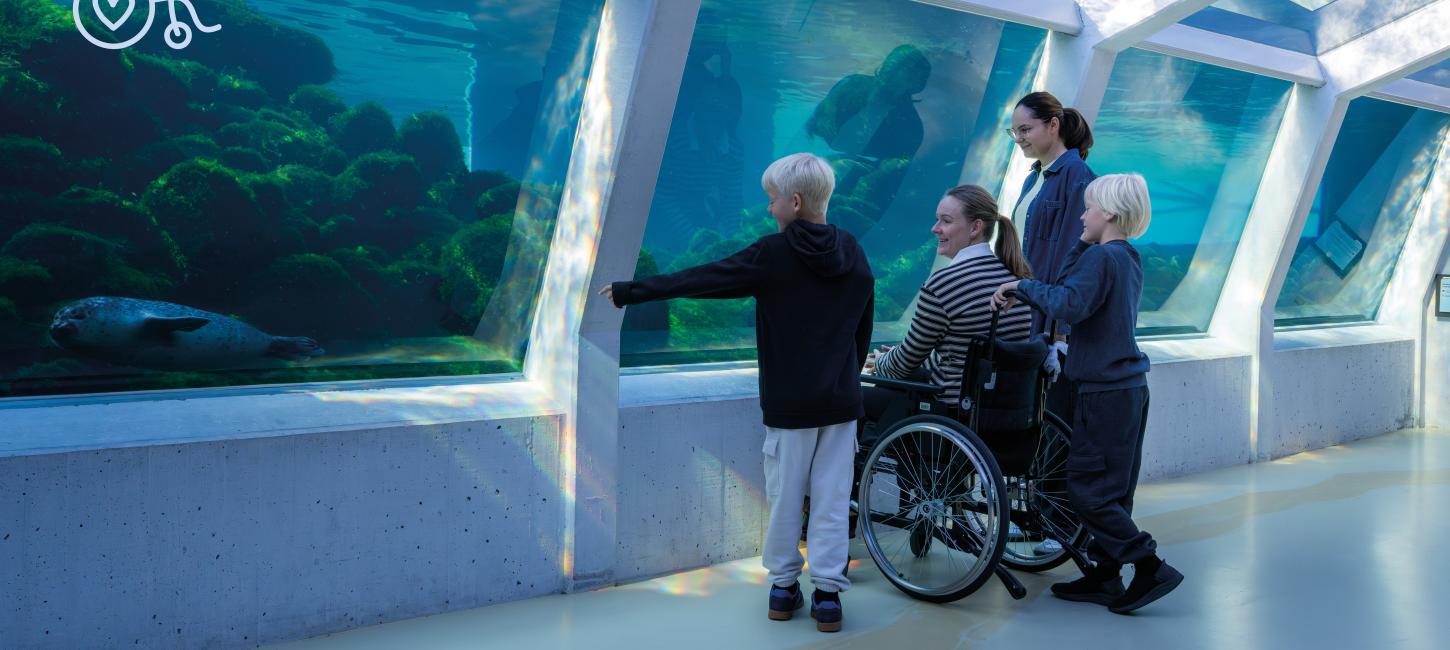 TFA topbillede Hjørring