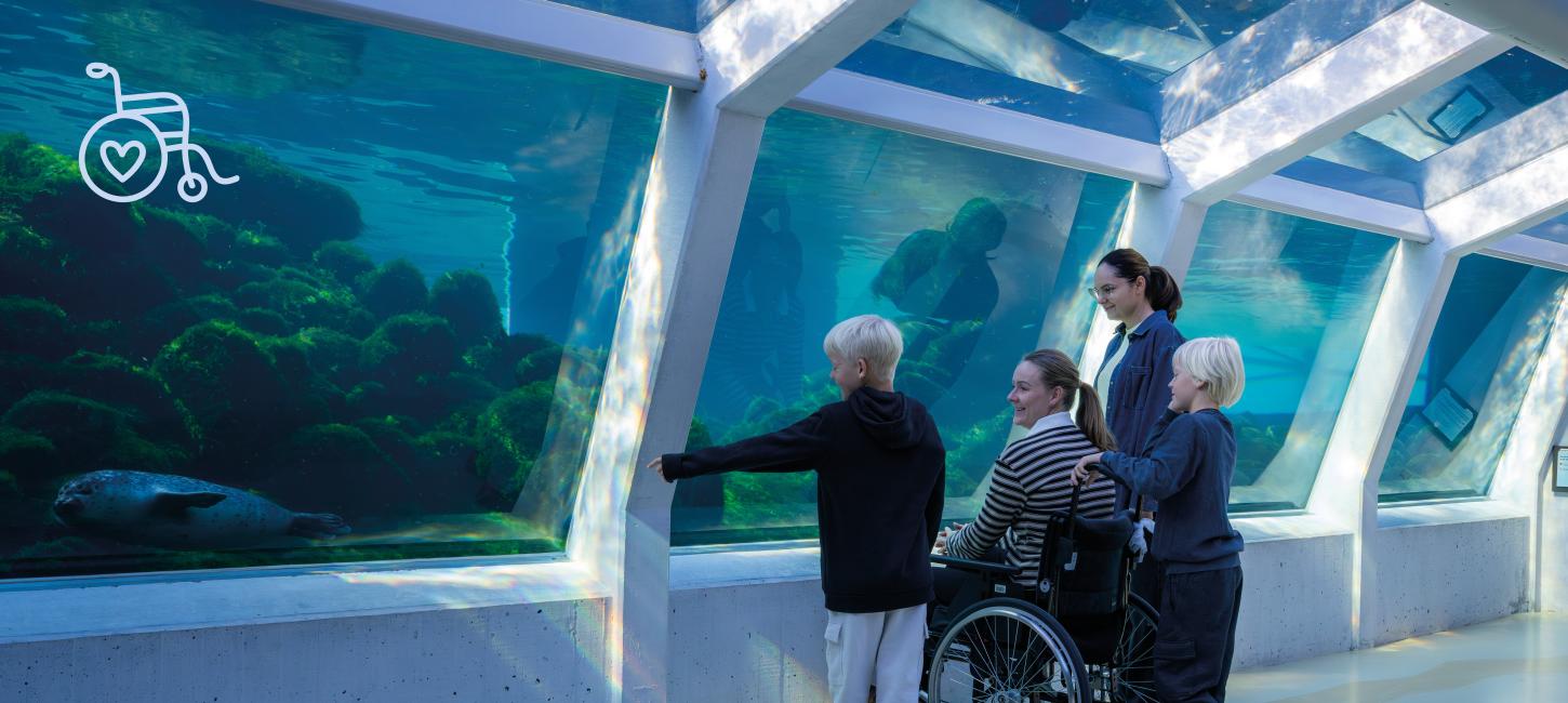 TFA topbillede Hjørring