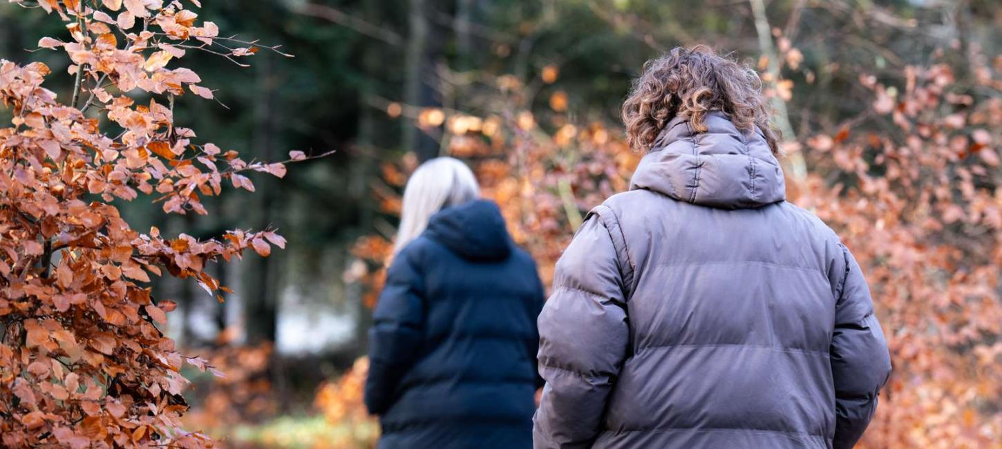 Vinterbillede Skeelslund