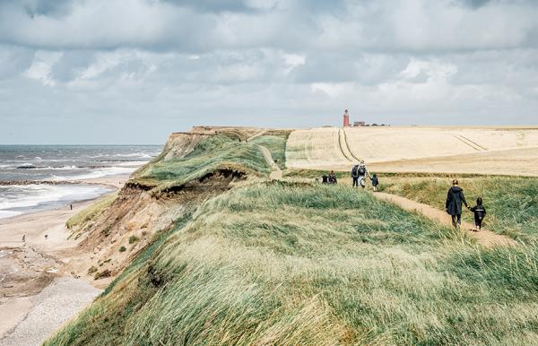Bovbjerg Klint