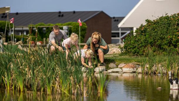 Landal, Grønhøj Strand