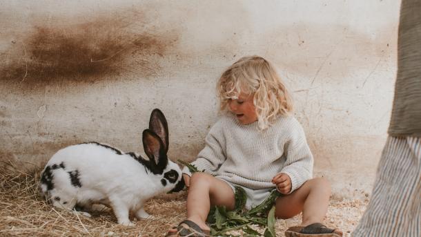 Skallerup Seaside Resort - dyregården