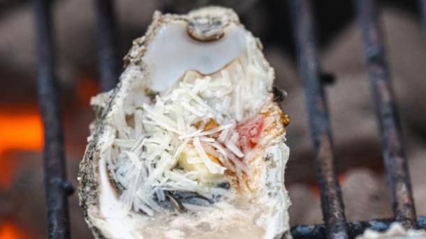 Østerssafari Thyborøn