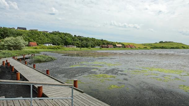 Lemvig Sø