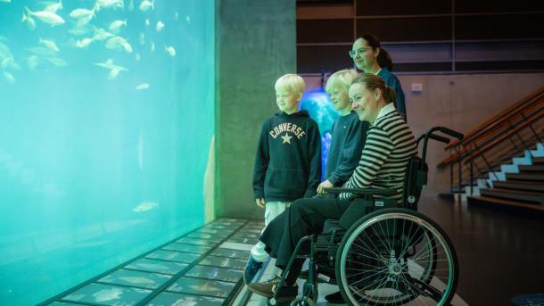 Nordsøen Oceanarium handicapvenlighed