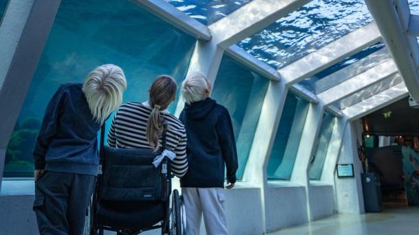 Nordsøen Oceanarium handicapvenlighed 1