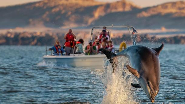 Skipper JyllandsAkvariet