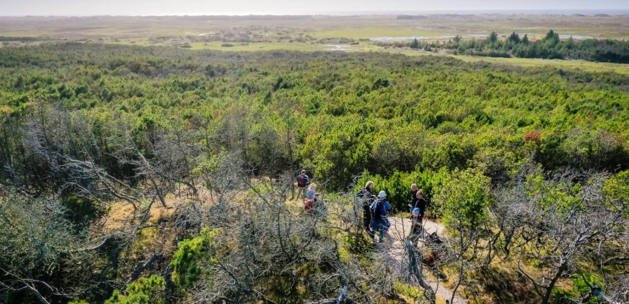 Vandring i Nationalpark Thy