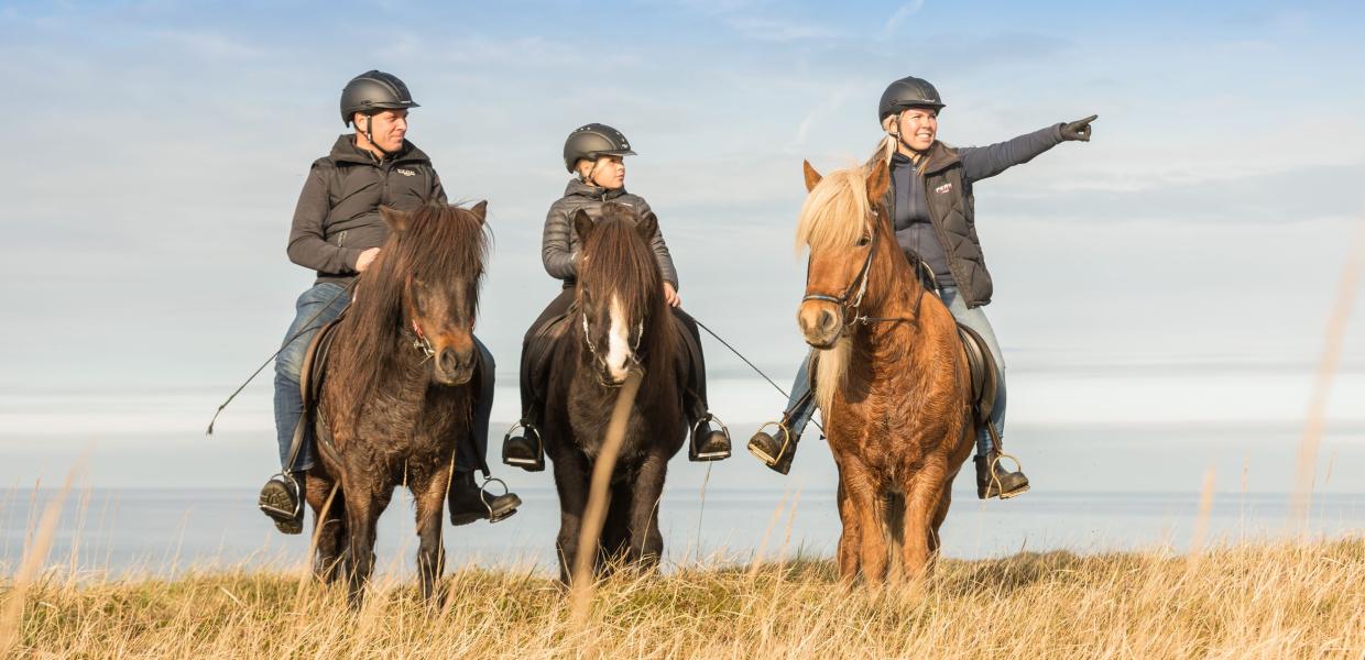 Rideture med Fårup Sommerland