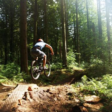 Mountainbike i skoven