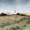 Rubjerg Knude