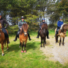 Hold da helt ferie med hest 