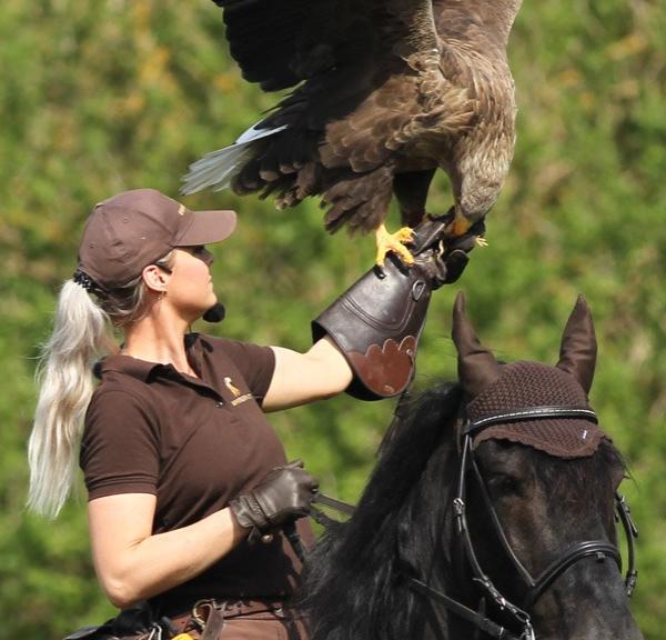 Ørnereservatet - Eagle World