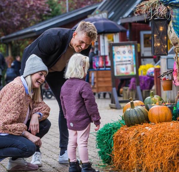 familie og græskar