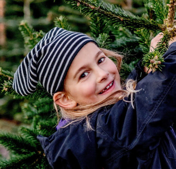 Jul ved Nordvestkysten