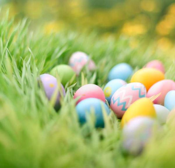 Påskejagt i Hawskoven 