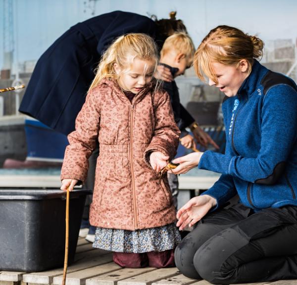 Nordsøen Oceanarium - Krabbedysten