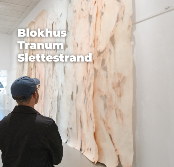 Jammerbugt sans tile