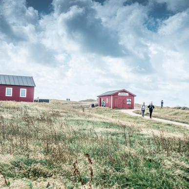 Natur ved Bovbjerg