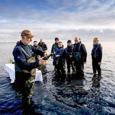 Austernsafari mit dem Jutland Aquarium in Thyborøn