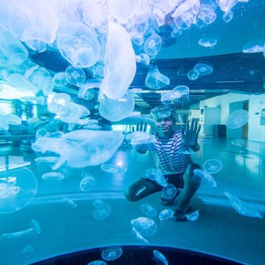 Nordsøen Oceanarium, Hirtshals