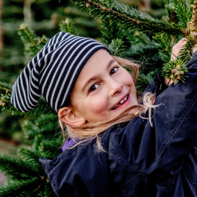 Jul ved Nordvestkysten