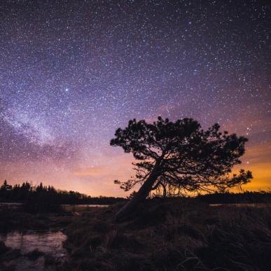 Thy Nationalpark, Astro Safari