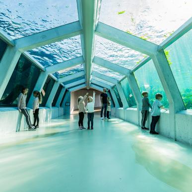 Nordsøen Oceanarium