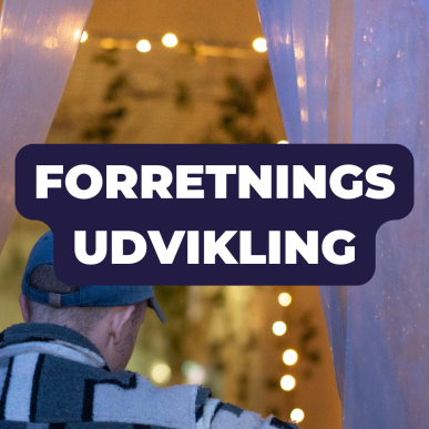 Erhvervssiden
