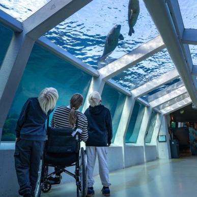 Nordsøen handicapvenlighed