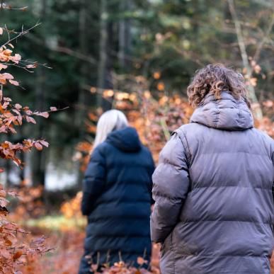 Vinterbillede Skeelslund