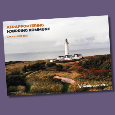 Årsrapport Hjørring - Tile