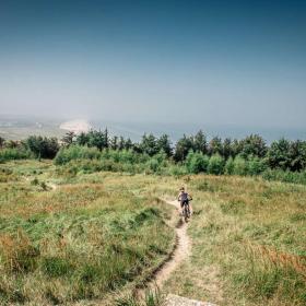 Mountainbike i Svinkløv Klitplantage