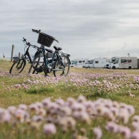 Kulturoplevelser WOW