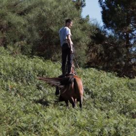 Out of Frame fernisering