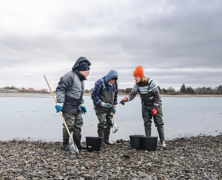 Østerssafari med Jyllandsakvariet